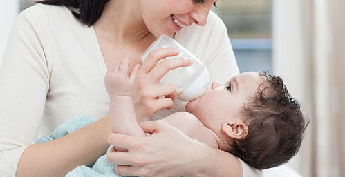 遼寧博華職業(yè)技術(shù)學(xué)校 皇姑區(qū)母嬰護(hù)理培訓(xùn)首選，品質(zhì)與售后無(wú)憂(yōu)的堅(jiān)實(shí)保障