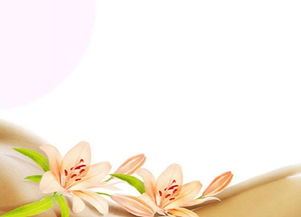 新概念母嬰護理 重塑家政服務，打造專業月嫂與陪護新標桿